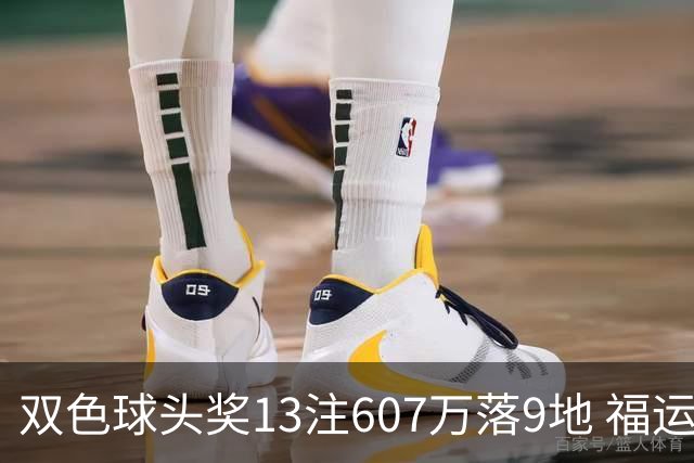 双色球头奖13注607万落9地 福运奖开1004万注